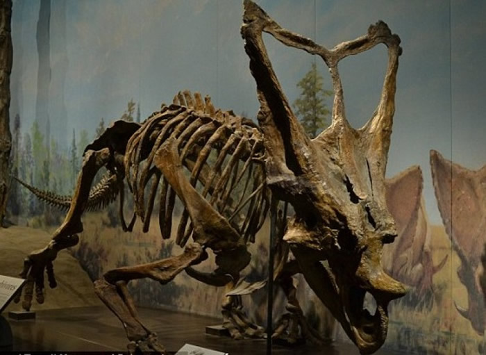 ���о�ָ�������������������ԡ�