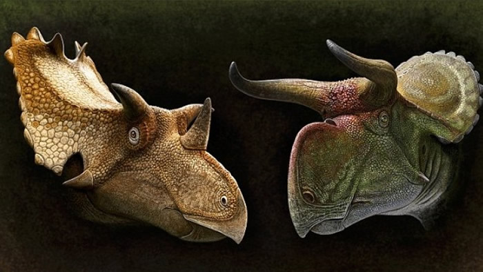 ����������ָ����ͬ��ı�ǡ�