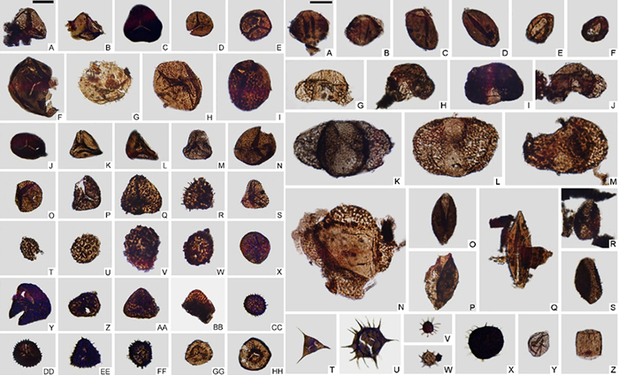 西藏南部三叠系孢子、花粉及疑源类化石(图版比例尺均为20 μm)
