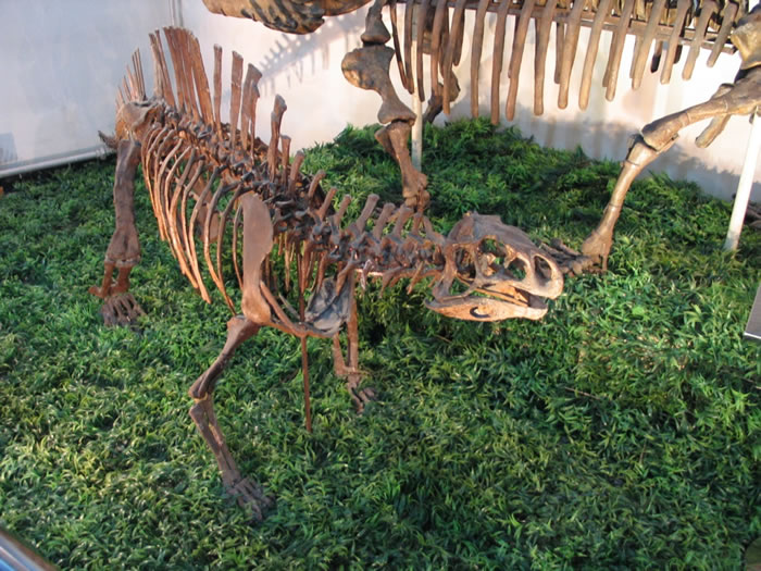 �й��Ŷ��������չ����ܽ�����Ǽܣ����� ��ͼ��