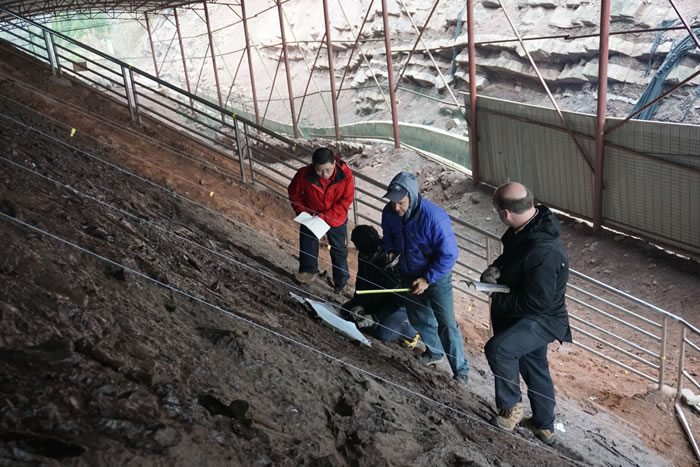 2015��1�£��о��Ŷ���Ұ��������ѧ�о������� ��ͼ��