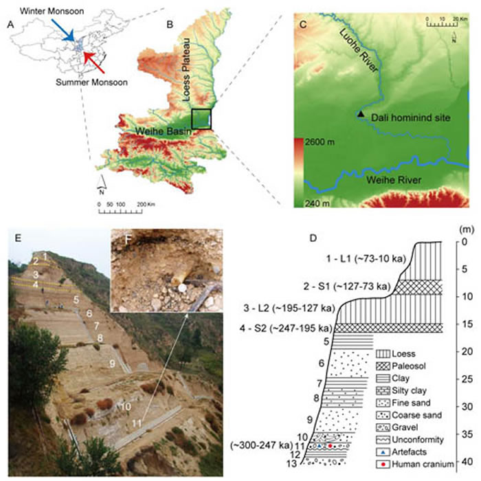 ��������ַ����λ�ã�A��B������ò��C�����ز�������D��E����Ϣ ����ƹ�ͼ��