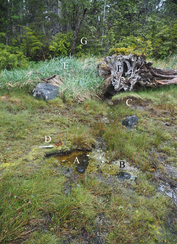 ���ô���1.3����ǰ�������㼣��ʯ �����Ǳ�������ϵ������㼣