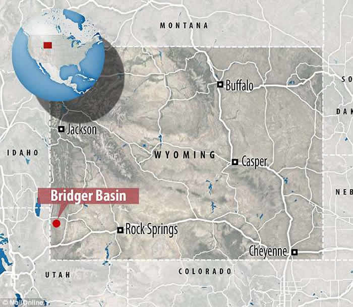 5000����ǰ������Saniwa ensidensӵ��4ֻ�۾�