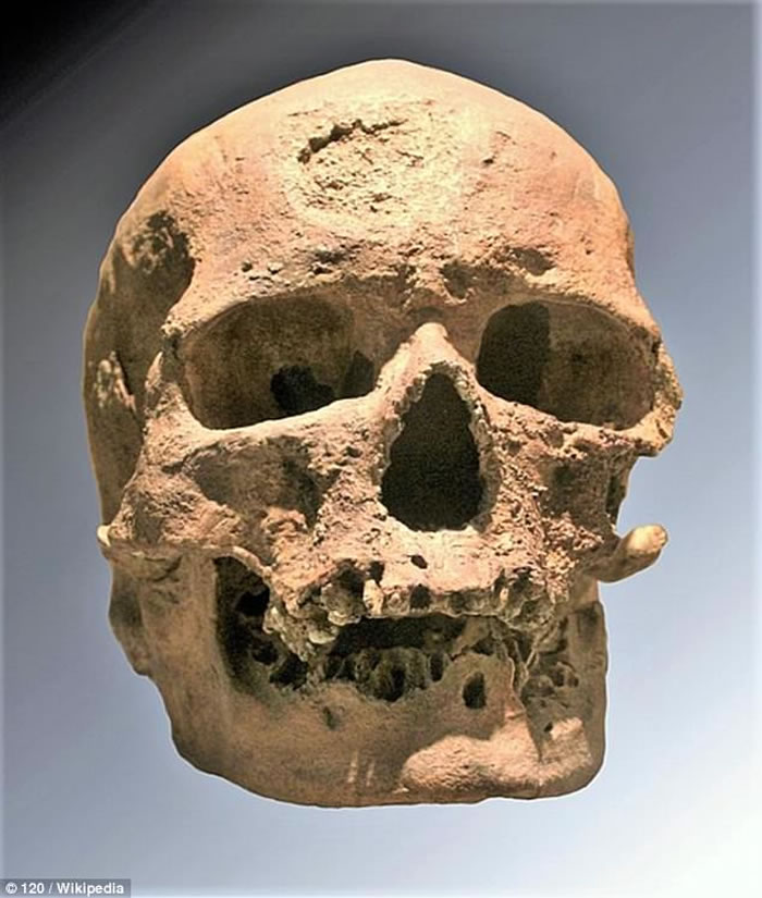 2.8����ǰ����ͷ�ǡ�Cro-Magnon 1����������150���� ѧ�������о���������