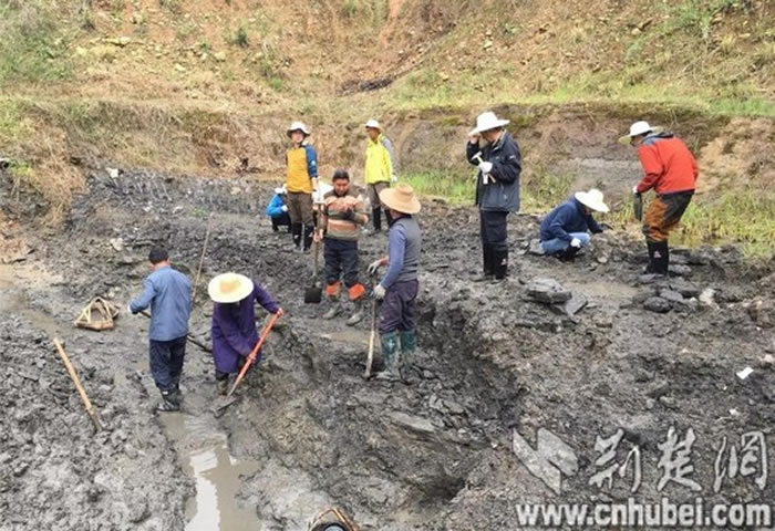 �����о��й����ﻯʯ�����Է���������ʽ