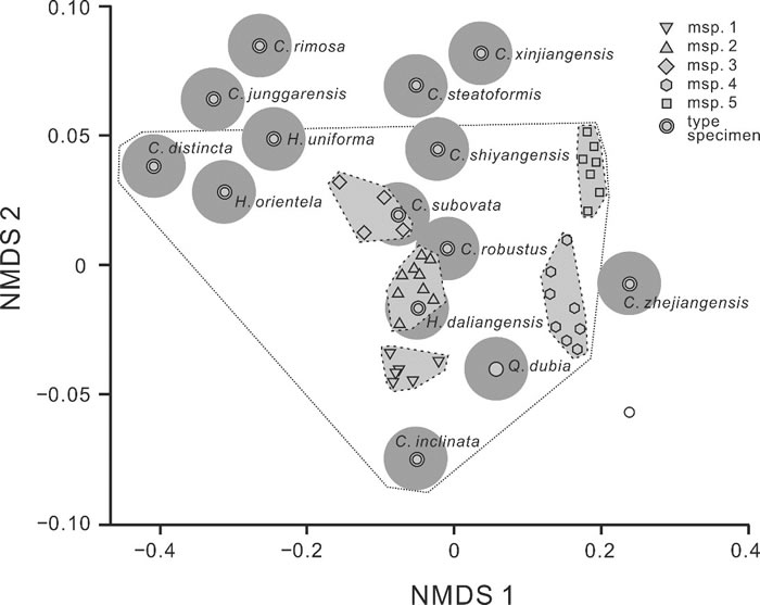 中国晚奥陶世镣珊瑚的形态测量学分析—多维尺度分析比较不同块体的镣珊瑚分子