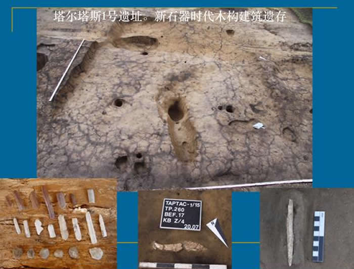 ������˹1����ַ����ʯ��ʱ��ľ�������Ŵ�