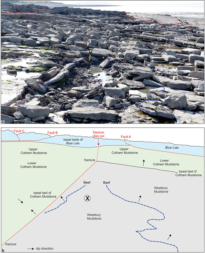 Ӣ����Ĭ���ط�������Ϊֹ��������ж��ﻯʯ