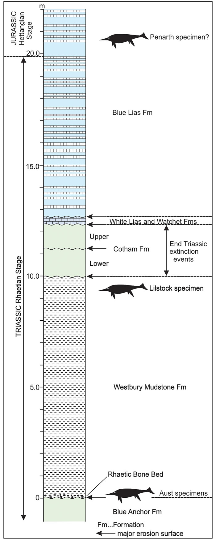 Ӣ����Ĭ���ط�������Ϊֹ��������ж��ﻯʯ