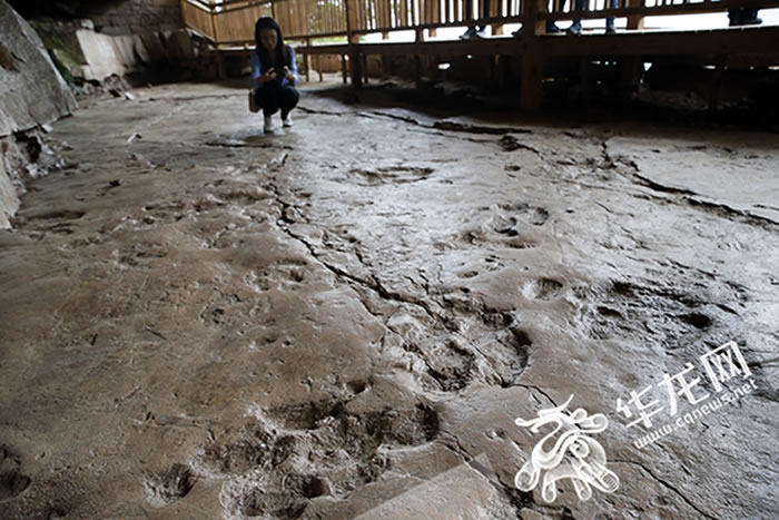 �����뽭���ҵ��ʹ�԰������ʽ��԰���ɿ�������ʯ��ϼ��ò