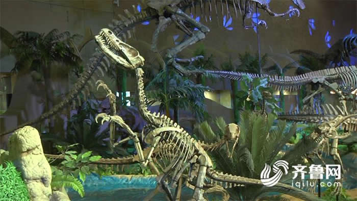 ��ǹ��ҿ������ʹ�԰С���޽��������ʽ����Ϊ�����Ϲֽ�����