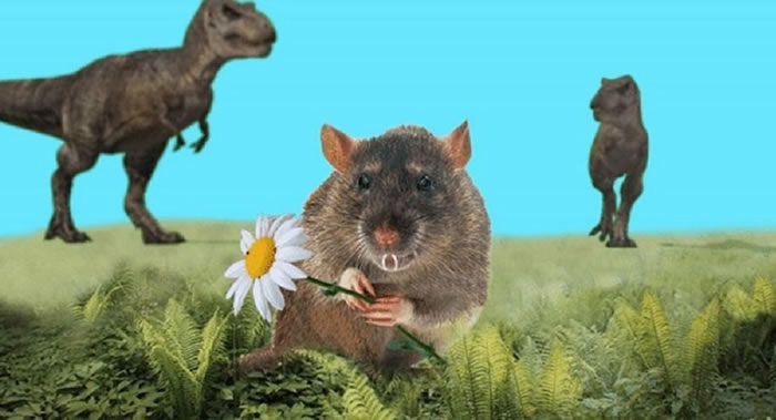 ����˹��ѧ�ҷ���Զ�Ų��鶯�������� �������ִ����ݶ���