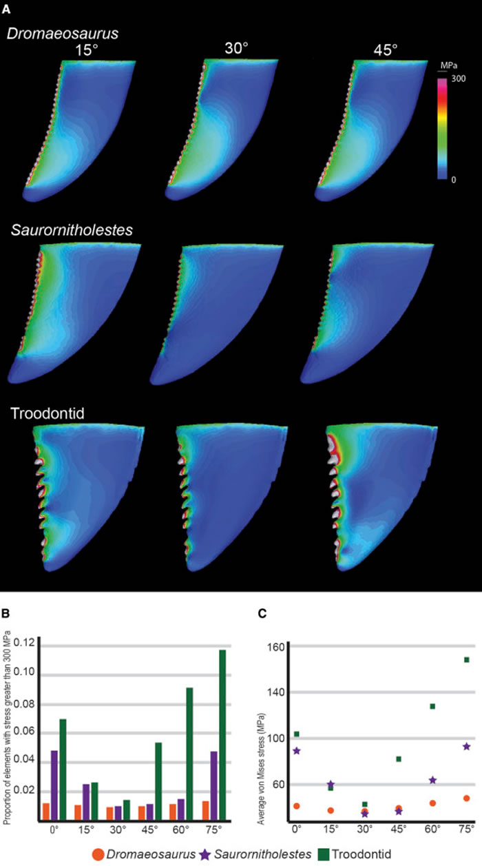 ����������ѧ������������ĥ���ʾ����ʳ����