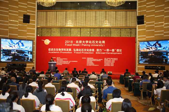 ��2018��������ѧ��ʯ�Ļ��ܡ����Ļʽ�ڱ�����ѧӢ�ܽ������ľ���