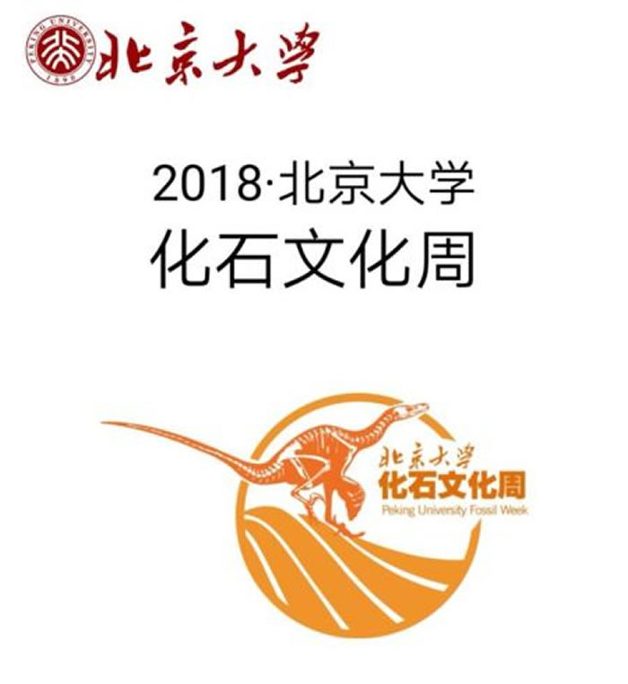 ��2018��������ѧ��ʯ�Ļ��ܡ����Ļʽ�ڱ�����ѧӢ�ܽ������ľ���