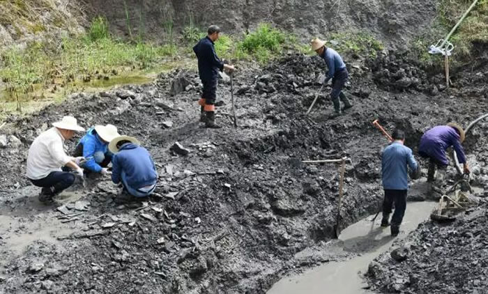 ���̻�ʯ��������ڶ����ǳ���Ҫ��½��PETM