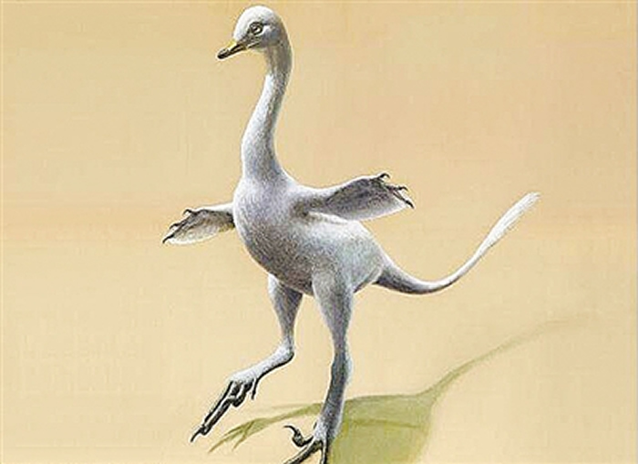 ���Ϲ��ȿ�����