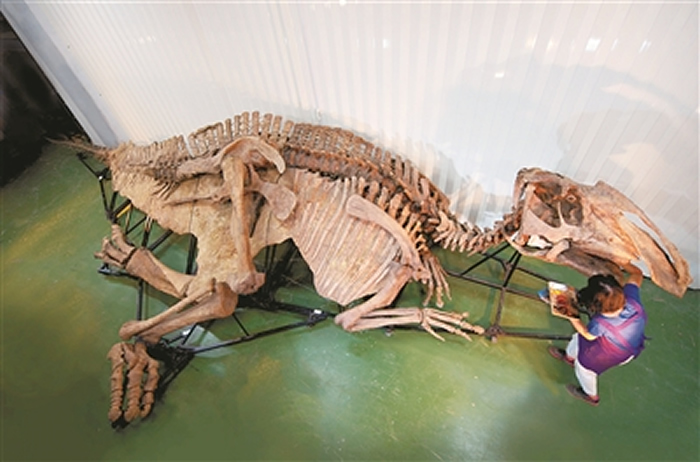 �������й������ϣ����ʿ��ﱦʯ�����Ὣ��5��18���ڳ��ݿ�Ļ