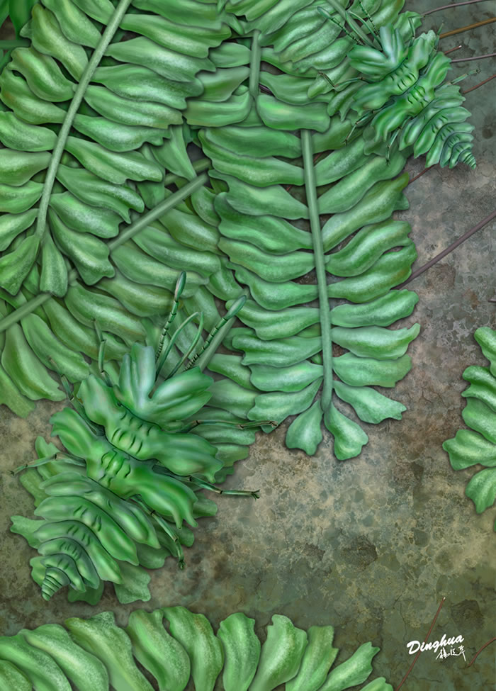 ������̦���ȵ���̬��ԭͼ