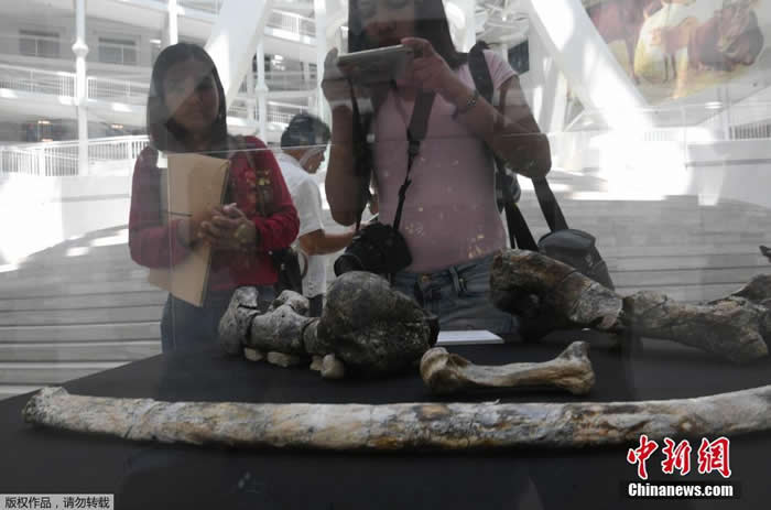 ���ɱ�������ʷ�����չ��һ��70��9000��ǰ��Ϭţ��ʯ