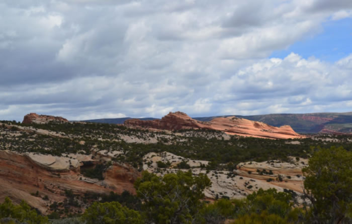 ��֪�ο��ƻ����������ݹ�԰2����ǰ������ʯ