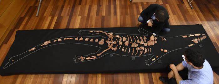 ��������Ȼ��ʷ�����չ��1.8����ǰ�������������ʯ