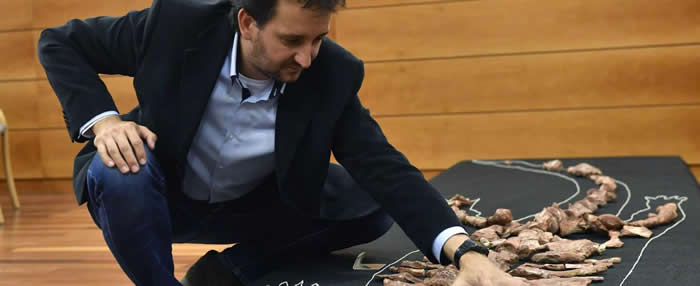 ��������Ȼ��ʷ�����չ��1.8����ǰ�������������ʯ