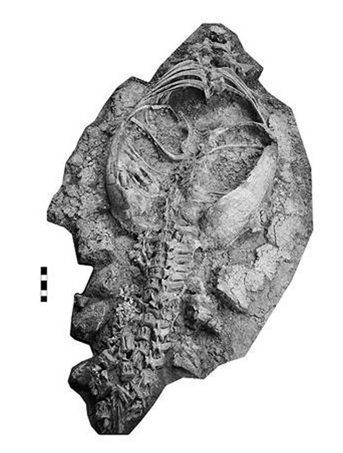 �����ؼ�������ʯ