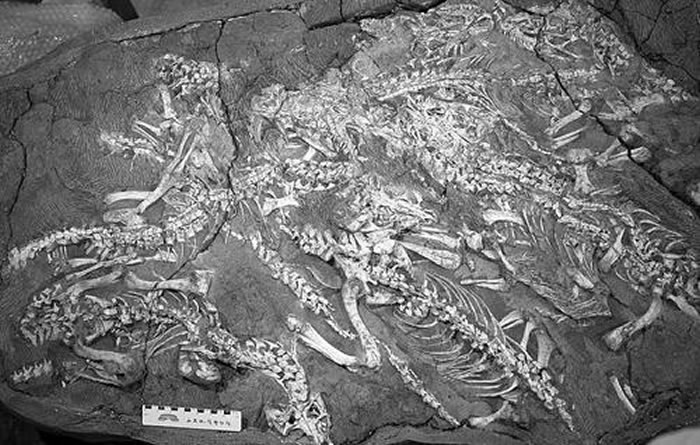 ����������������ʯ