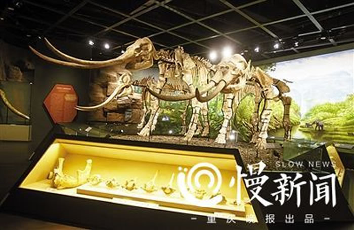 ����������������ݵ����֮����������������ʯ