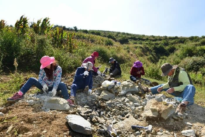 �й�������ѧ���ڴ������˳���ʮ���Ұ�ⷢ���»��緢�п�Ժ˫������ͼ