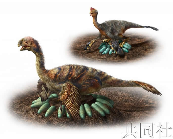 ���Ϳ�������ͨ���跨���ѵ�ѹ��İڷŷ�ʽ�����Լ���������