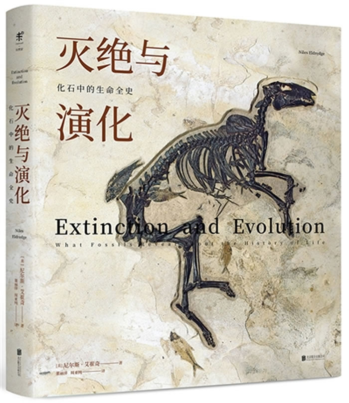 ��������ݻ�����ʯ�е�����ȫʷ��