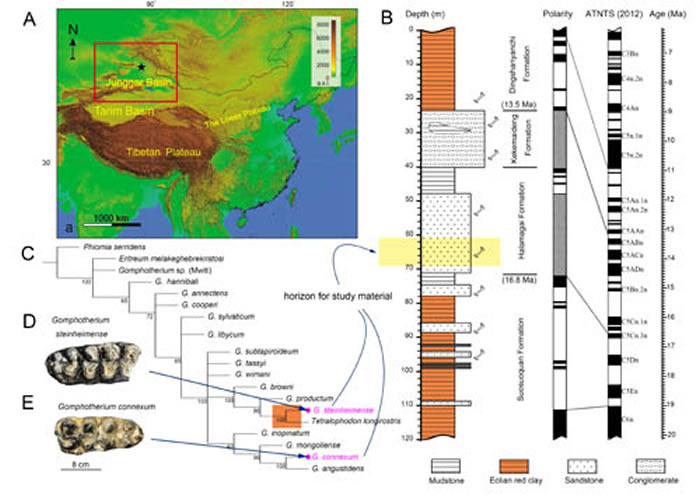 �о����ϵĵ���λ�á��ز㱳����Ƕ��������ϵͳ��������������ͼ��