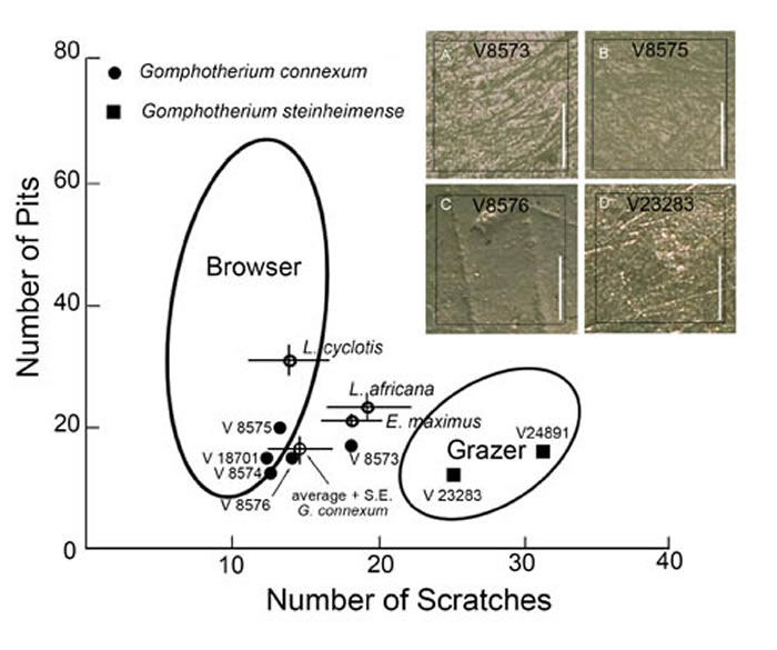 Ƕ��������΢ĥ�۷������ ��������ͼ��