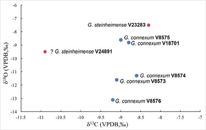 Ƕ������̼����ͬλ�ط������ ��������ͼ��