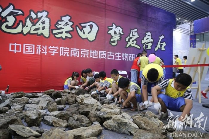 �ڰ˽�ȫ����ʯ�����ߴ���ں��ϳ��ݾ���