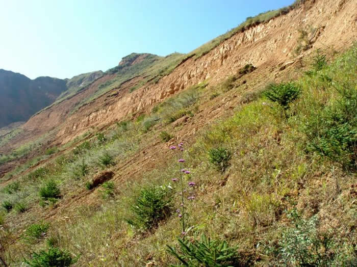 ������������½��͵ز�¶ͷ