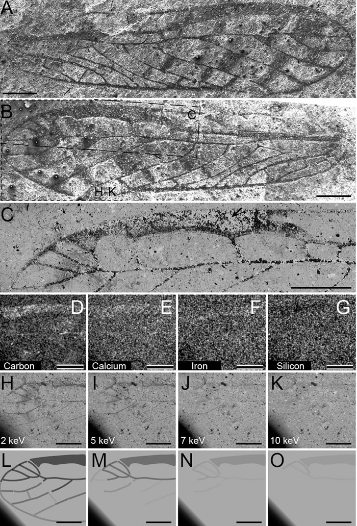 ���������滯ʯ����ɨ�������΢�������׷�����������Z��Ա�