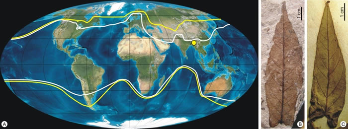 ���������塱������Դ������