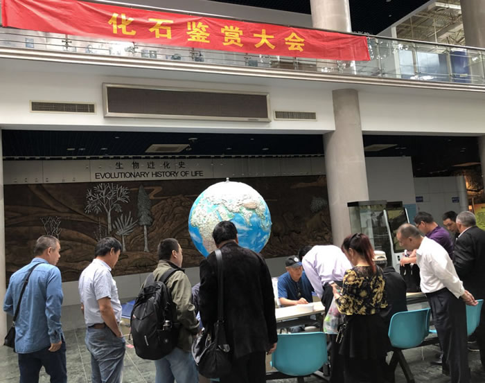 ��12�컯ʯ���ͻ����Ͼ�������ݾ���