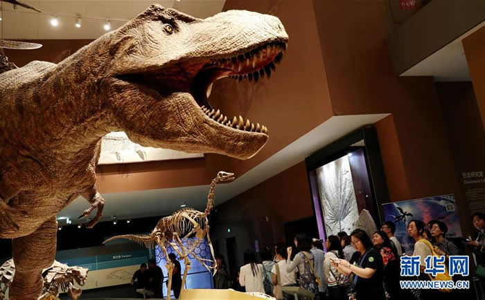 �����֮ҹ��2018�Ϻ���Ȼ����ݡ�����������Ļ