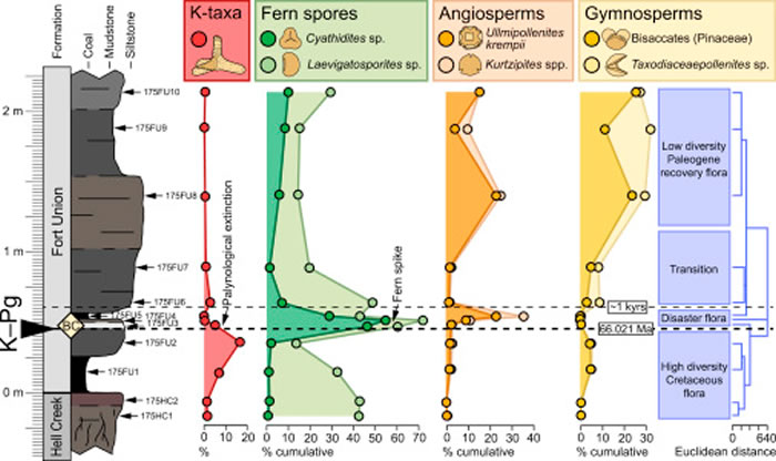 6600万年前小行星撞击地球后唯一能经受考验的鸟类是地栖物种