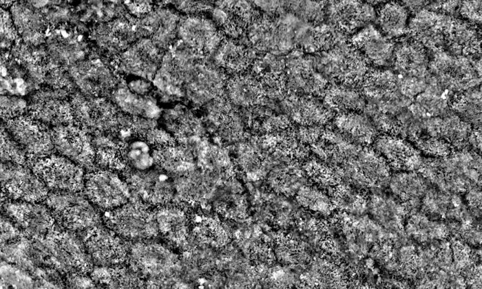 ������ʯ�з�����Ϊ���ϵ�ʷǰƤм