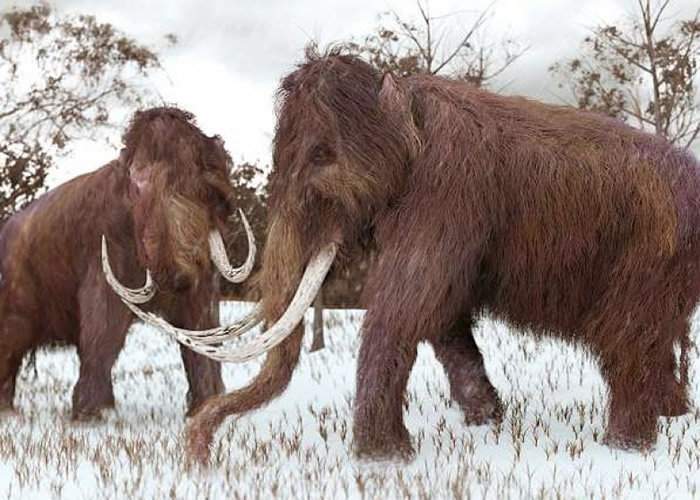 ��ë�����������˼䡣