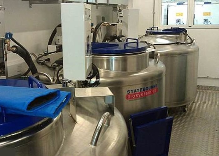 DNA�����������ڵ���֮�¡�