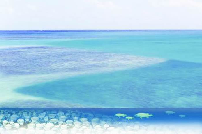 固着蛤生存环境和生长状态复原图(Skelton,2003)