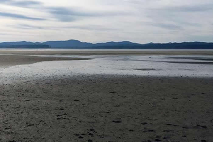 ��������������ϵĵ�һ��ѩ֮�����ϵ