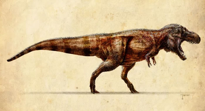 霸王龙奔跑速度不会超过一辆吉普车,它的确很聪明,听力和嗅觉非常强,长着具有深度知觉的大眼睛,如果你站在地面上保持不动,它们仍能看到你,观察动静,嗅闻你的身体,然